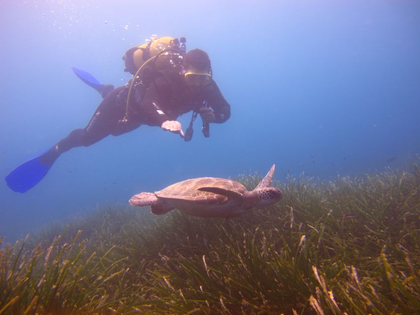 City of Side: Underwater Museum Scuba Diving Visit - Hotel Pickup and the Walk to the Boat