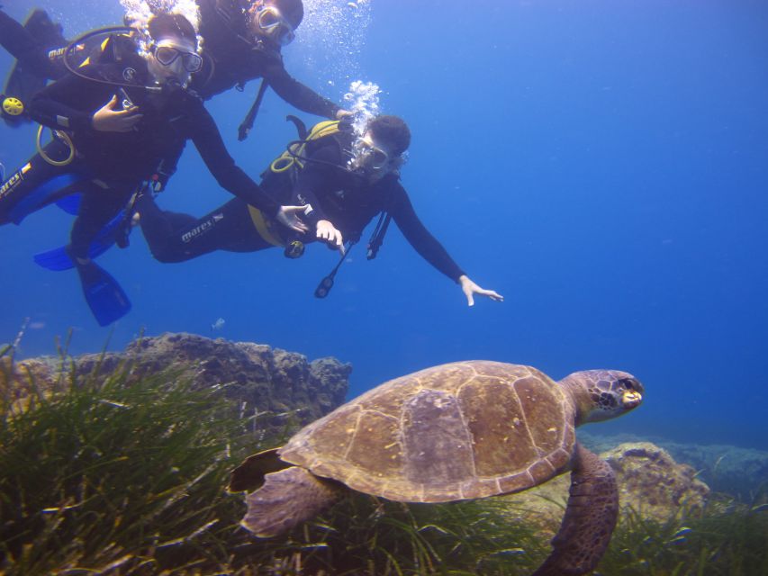 City of Side: Underwater Museum Scuba Diving Visit - The Long Boat Break and Lunch