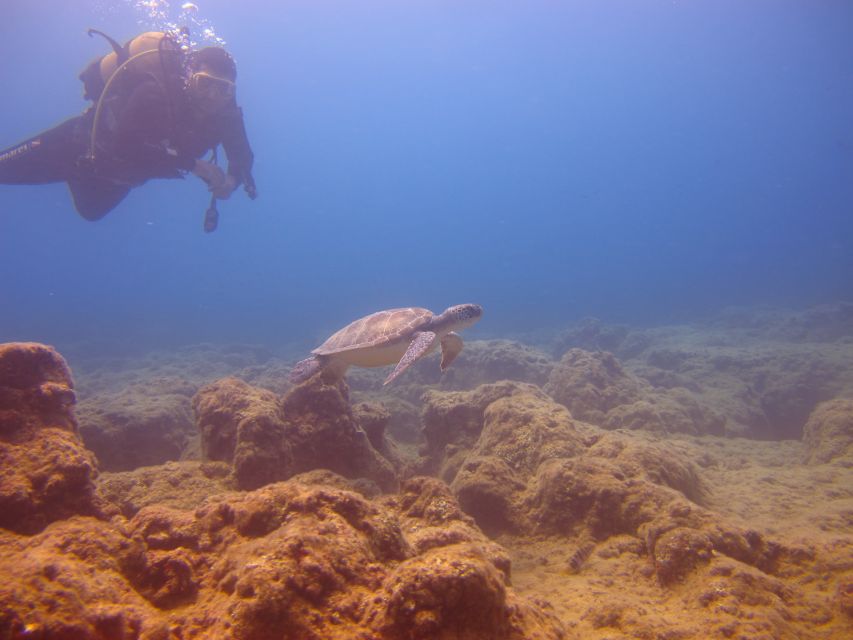 City of Side: Underwater Museum Scuba Diving Visit - The Second Session and the Best Chance to Relax