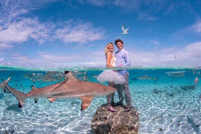 Combo Diving and Snorkeling Full Day Tour - Is $1,800 good value for two people?