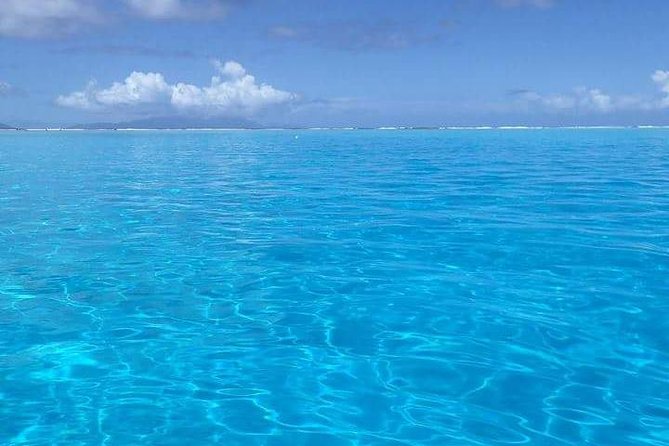 Combo Diving and Snorkeling Half-Day Tour - One morning, two ways to see Bora Bora