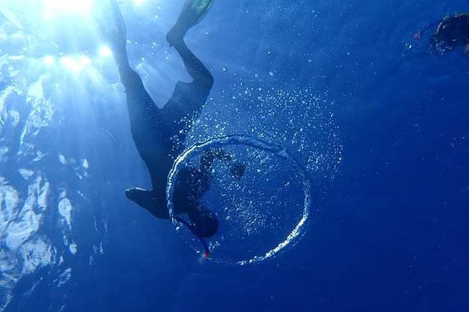 Combo Diving and Snorkeling Half-Day Tour - Booking early and handling bad weather