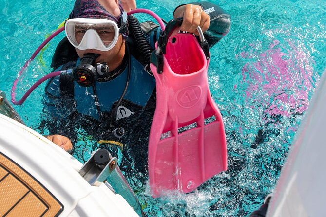 Concierge Two Tank Boat Dive in Bonaire (4 Divers) - Why this Bonaire boat outing feels different
