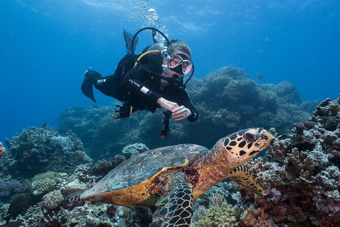 Coral Sea Dreaming Overnight Dive, Snorkel and Sail - Why a 12-person boat changes the reef experience