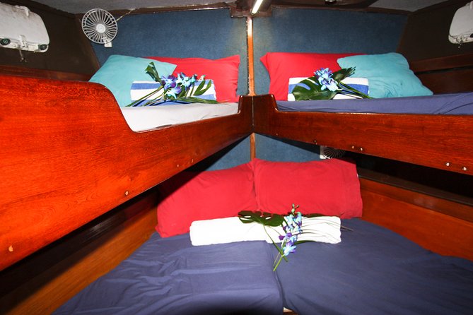 Coral Sea Dreaming Overnight Dive, Snorkel and Sail - The crew makes the difference