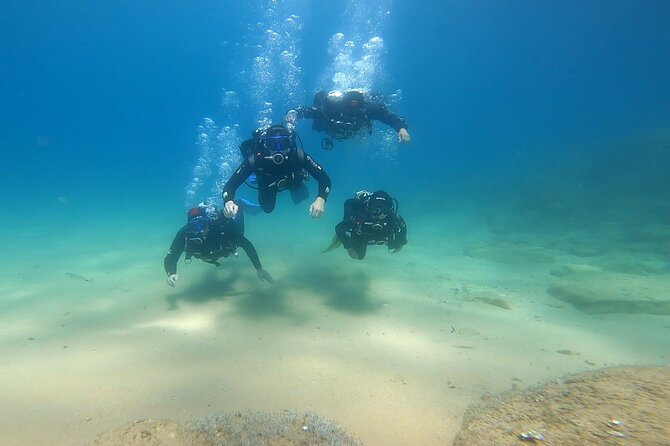 Costa Brava: Scuba Diving Tour, Lunch and a Visit to Tossa de Mar - Why this Costa Brava day trip works from Barcelona