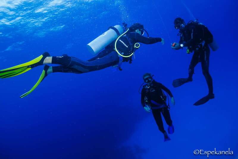Costa Maya: Discover Scuba Diving Reef Experience - The 105-minute lesson builds confidence