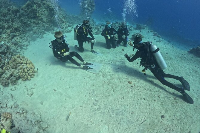 Course for Padi OW in Red Sea and Sinai - Key points to know before booking