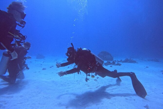 Course for Padi OW in Red Sea and Sinai - Confined-water practice before the sea