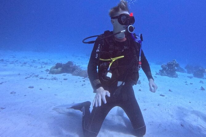 Course for Padi OW in Red Sea and Sinai - What the boat day adds