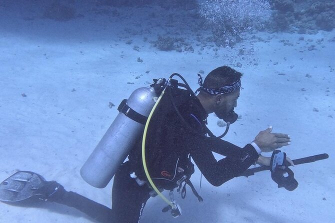Course for Padi OW in Red Sea and Sinai - The instructors: patience matters more than showmanship
