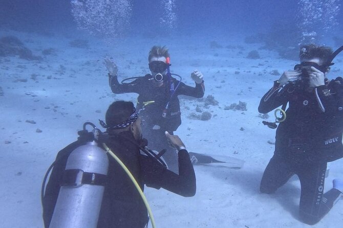 Course for Padi OW in Red Sea and Sinai - Equipment and comfort for first-timers
