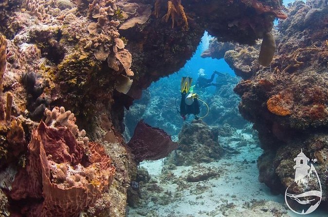 Cozumel: Discover Scuba Diving - Between sessions: water, snacks, and a second chance