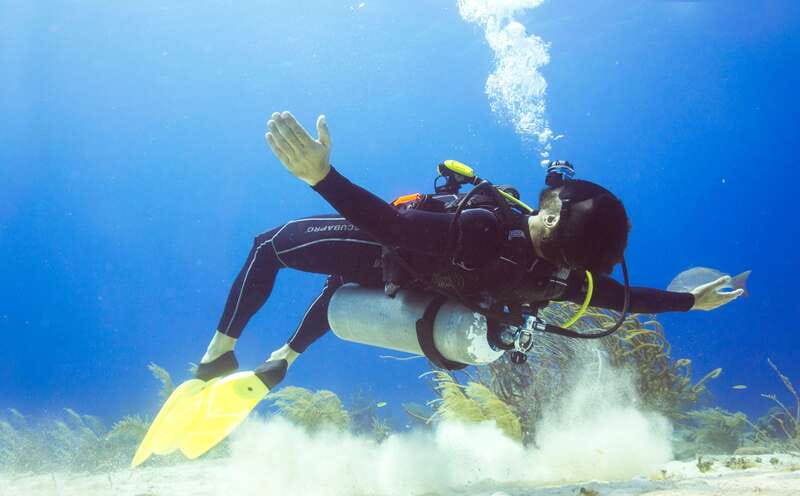 Cozumel: One Tank Scuba Dive and Full Chankanaab Park Access - What the instruction covers before you enter