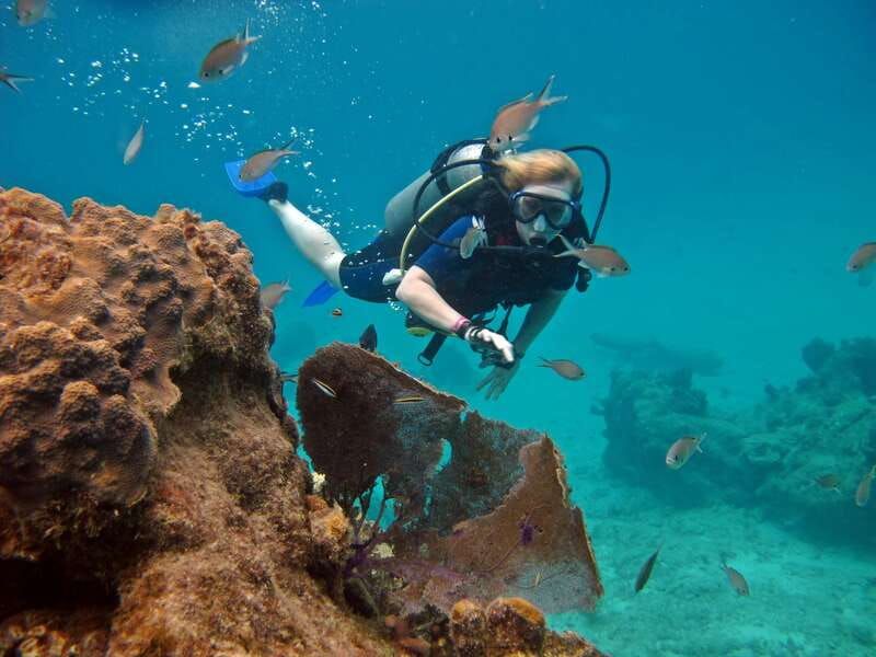 Cozumel: One Tank Scuba Dive and Full Chankanaab Park Access - Meeting the MJ’s Dive team at Chankanaab