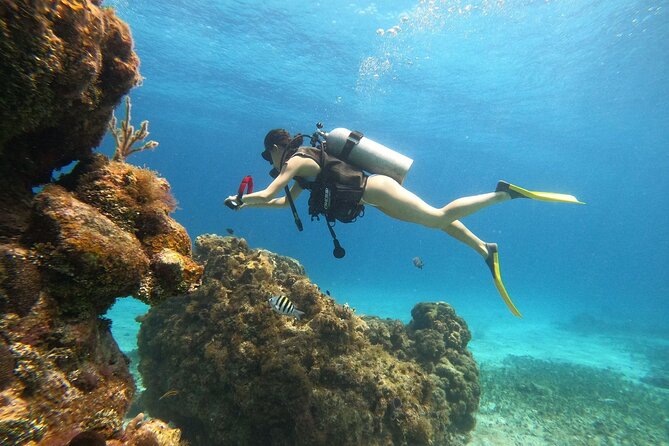 Cozumel Scuba Dive at Chankanaab - Beginning with instruction instead of pressure