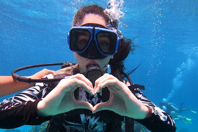 Cozumel Scuba Dive at Chankanaab - What is included for $85