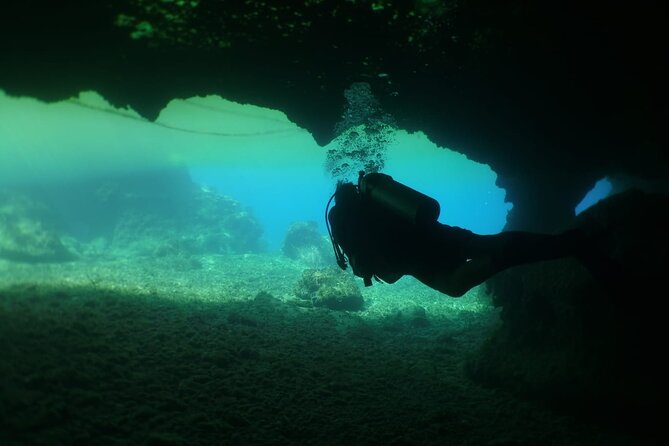 Cozumel Scuba Dive at Chankanaab - Getting there from a cruise ship