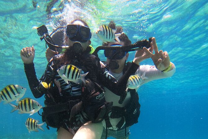 Cozumel Scuba Dive at Chankanaab - Group size, comfort, and family suitability