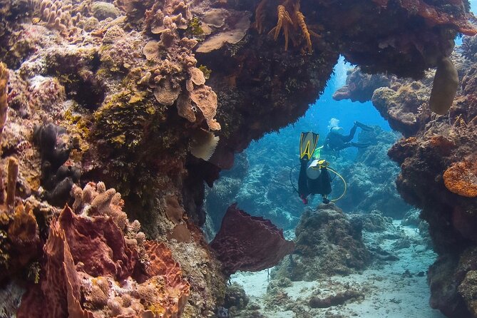 Cozumel underwater 2 Tank Dive by boat - Why Cozumel works so well for an underwater morning