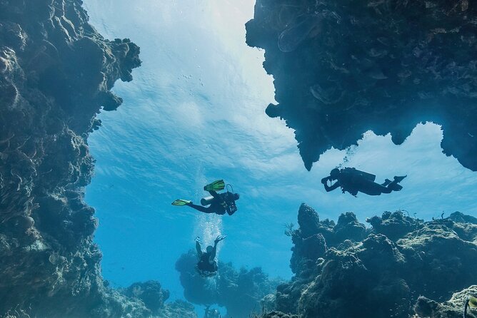 Cozumel underwater 2 Tank Dive by boat - The first session: Palancar’s walls and coral passages
