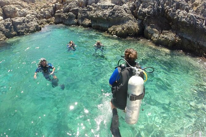 Crete-Chania: Snorkeling & Scuba Dive for Beginners by Boat - Who will enjoy this most