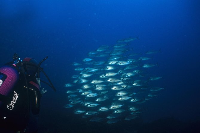 Crete Introductory Scuba Diving Experience - Pool or shallow-water practice