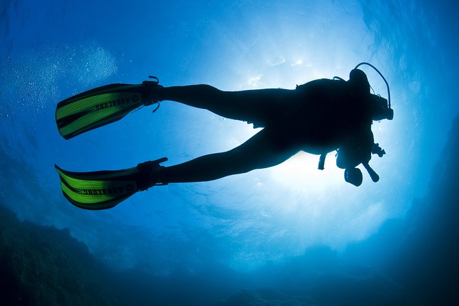 Crete Introductory Scuba Diving Experience - Instructor support makes the biggest difference
