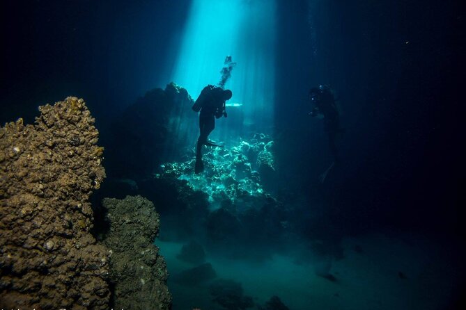 Crete: Scuba Diving for Certified Divers in Chania - The Elephant Cave and Other Possible Sites