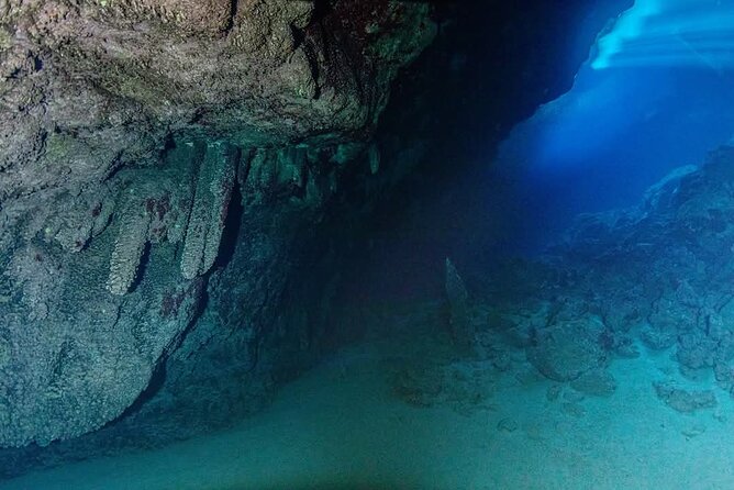 Crete: Scuba Diving for Certified Divers in Chania - Guides Who Put Safety First