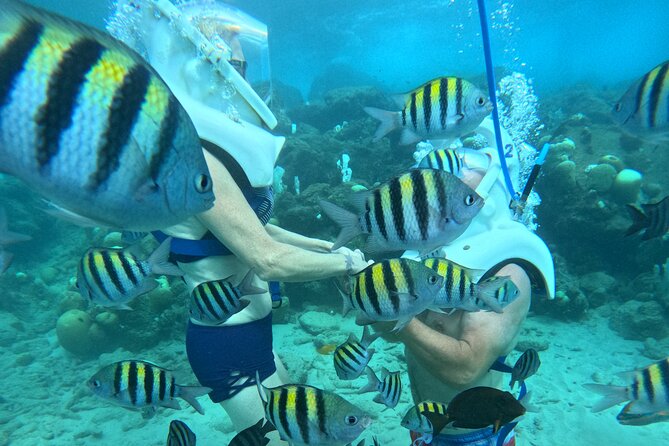 Curacao Helmet Diving-Walk the Ocean Floor, No Swimming Required - Photos, videos, and the extra cost