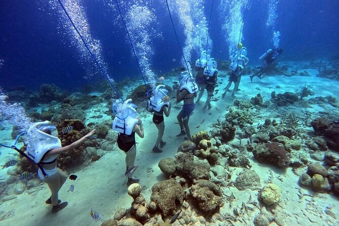 Curacao Sea Trek Snuba Combo Walk Tour and Dive the Ocean - Key Points Before You Book