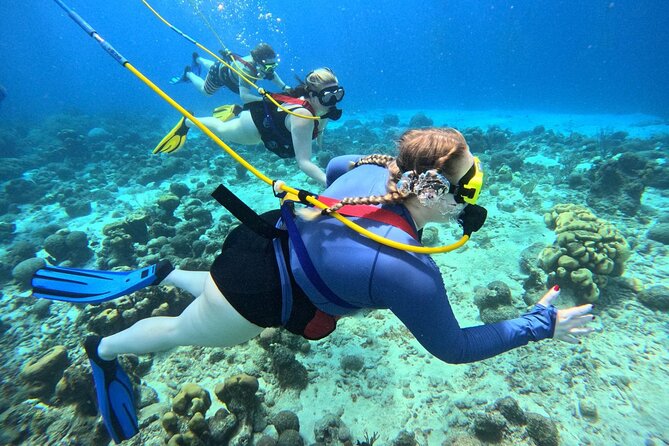 Curacao Sea Trek Snuba Combo Walk Tour and Dive the Ocean - What the Curaçao Sea TREK and SNUBA Combo Really Offers