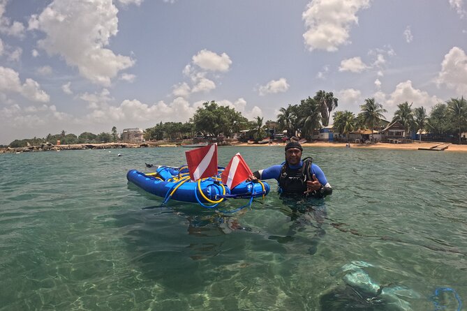 Curacao Sea Trek Snuba Combo Walk Tour and Dive the Ocean - A Three-Hour Schedule That Works for Cruise Stops