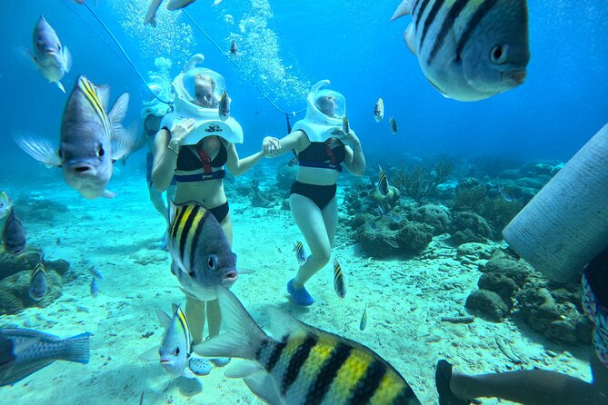 Curacao Sea Trek Snuba Combo Walk Tour and Dive the Ocean - What You Get for $240 Per Person