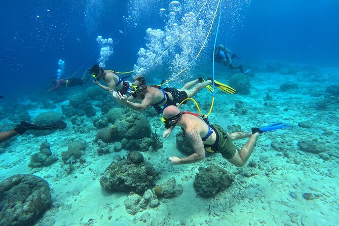 Curacao Sea Trek Snuba Combo Walk Tour and Dive the Ocean - Who Will Get the Most From This Activity