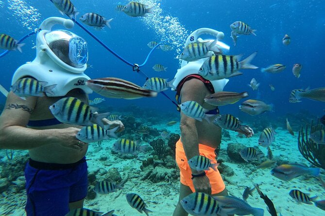 Curacao Sea Trek Snuba Combo Walk Tour and Dive the Ocean - Practical Details That Make the Day Easier