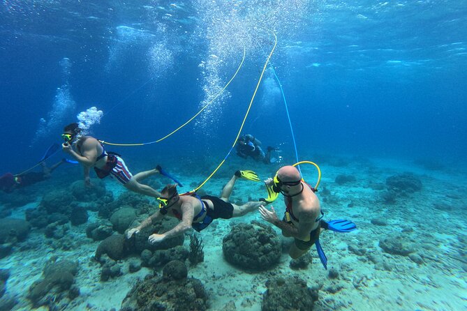 Curacao Sea Trek Snuba Combo Walk Tour and Dive the Ocean - Walking Below the Surface at Marie Pampoen Beach