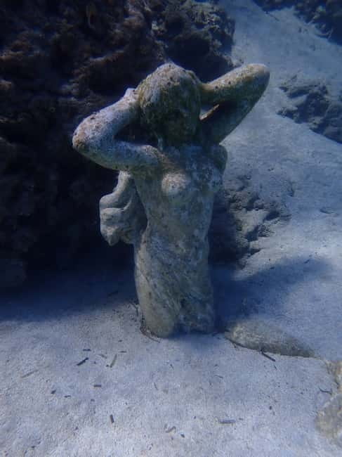 Cyprus: Introductory Scuba Lesson and Dive with Transfer - Key points to know before booking