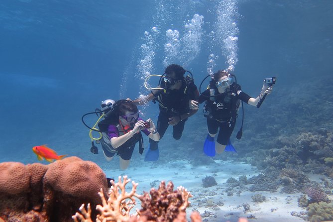 Daily 2 Dives with Equipment from Hurghada - Setting off from Hurghada at 8:00 am