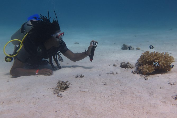 Daily 2 Dives with Equipment from Hurghada - Two underwater sessions, with time limits