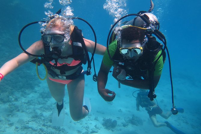 Daily 2 Dives with Equipment from Hurghada - Equipment and instruction: practical, not polished