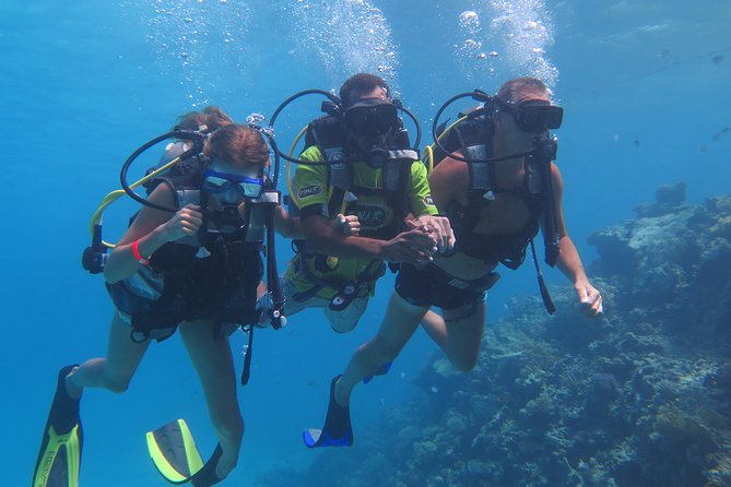 Daily 2 Dives with Equipment from Hurghada - Is $30 good value?