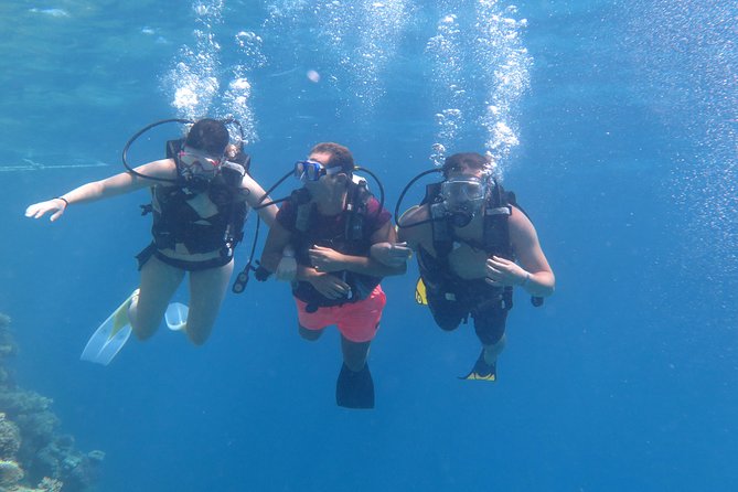 Daily 2 Dives with Equipment from Hurghada - Who will enjoy this day most?