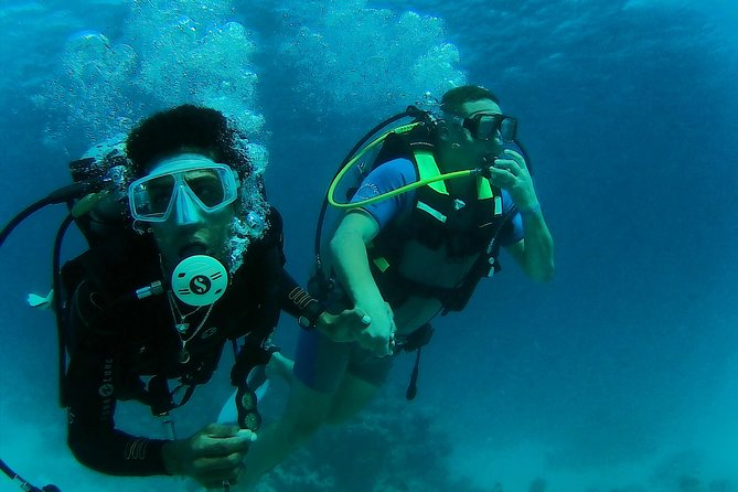 Daily 2 Dives with Equipment from Hurghada - What the Red Sea sites offer