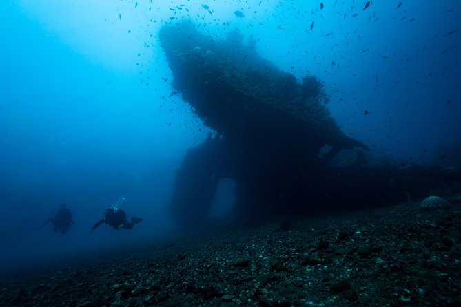 Day Trip certified divers - 3 Dives in Tulamben (pick-up & drop-off included) - The 7 a.m. pickup from South Bali