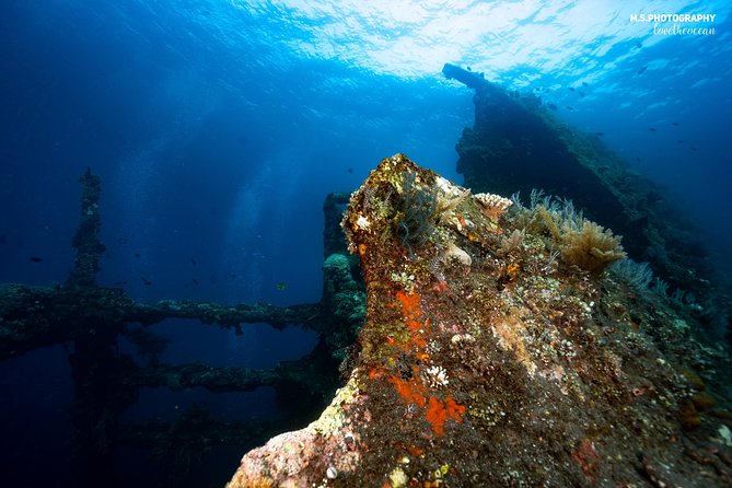 Day Trip certified divers - 3 Dives in Tulamben (pick-up & drop-off included) - Choosing the other two Tulamben sites
