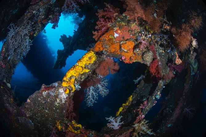Day Trip certified divers - 3 Dives in Tulamben (pick-up & drop-off included) - Between sessions: lunch and a proper break
