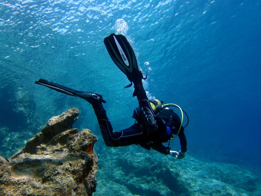 Didim: Scuba Diving Experience w/Hotel Pickup & Lunch - Key points to know before booking