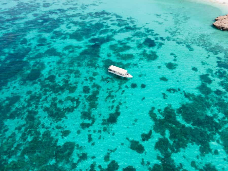Dimaniyat Islands Scuba Diving Trip - Finding the meeting point without stress